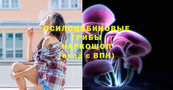 кокаин Белокуриха