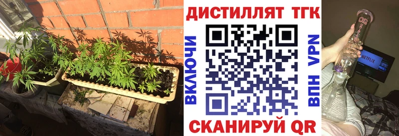 Дистиллят ТГК жижа  сколько стоит  ссылка на мегу ссылка  Светлогорск 