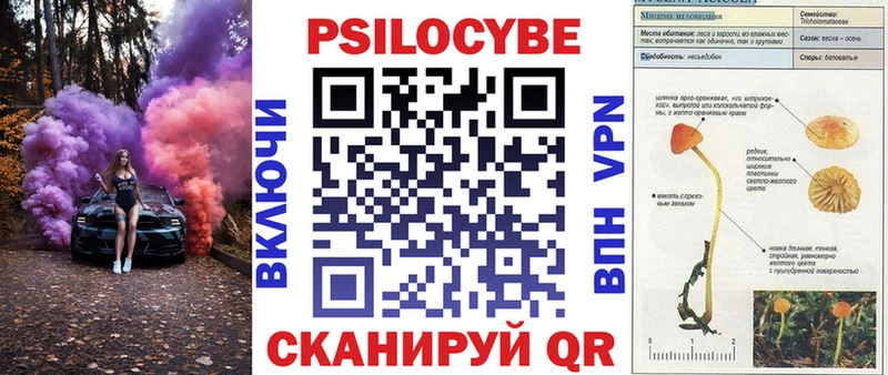 Галлюциногенные грибы Psilocybe  Светлогорск 